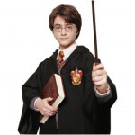 Detský Kostým – Harry Potter L